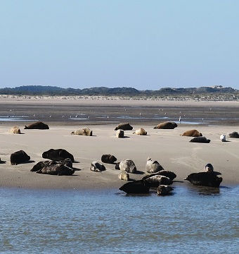 Phare de Berck sur Mer