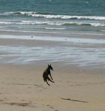 Berck with my four-legged friend