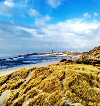 The Dune Trails