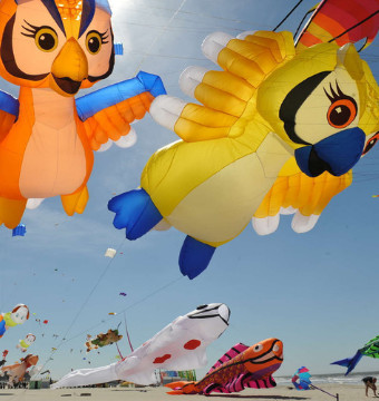 Zoom sur le festival du cerf-volant à Berck-sur-Mer : Femme