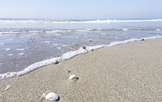 Mon Village Vacances - Éveil du corps et relaxation face à la mer