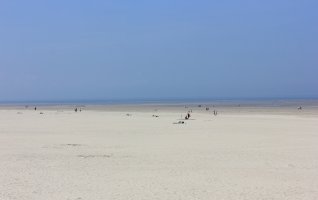 Un été au Musée : Tous différents et pourtant le même HORIZON