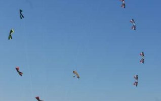 Championnat de France  de Cerf-Volant Acrobatique