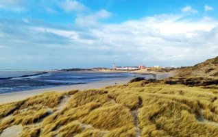 Baie d’Authie « Les p’tites bêtes des dunes »