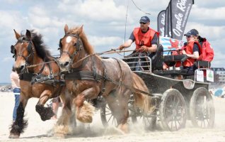 RENCONTRES INTERNATIONALES DE CERFS VOLANTS