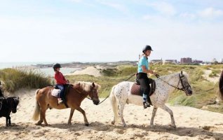 Balade à Poney