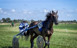 Courses hippiques à l'Hippodrome de Berck-sur-Mer