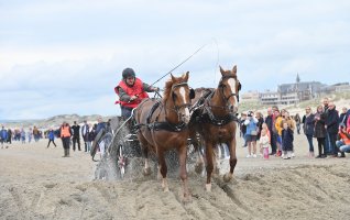 Marathon d'Attelage