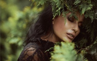 Exposition "Regards sur la nature" par Les Amis d'Hom'Arts