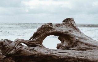 Un nettoyage grandeur NATURE !