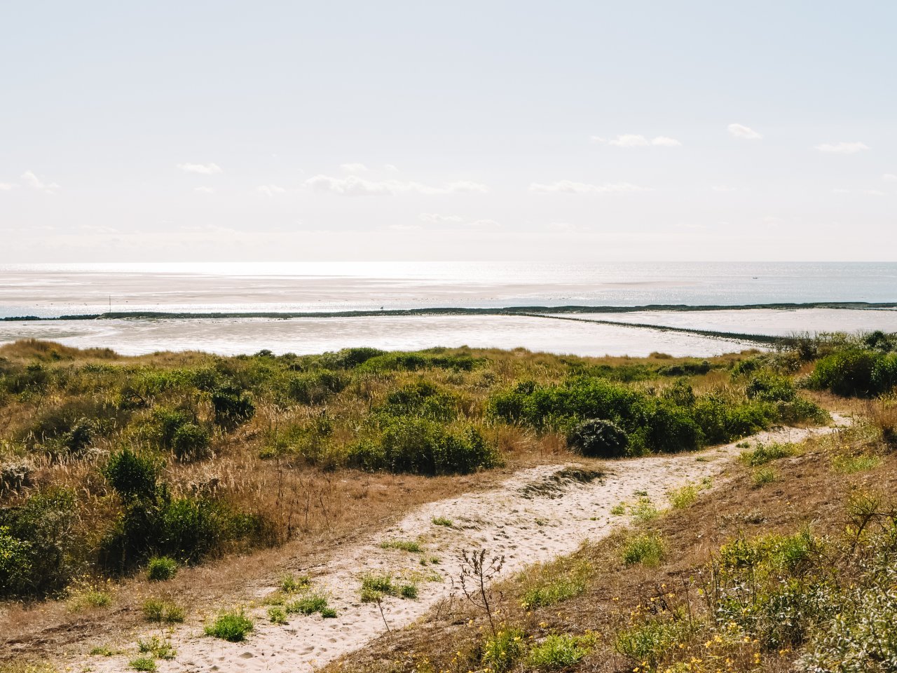 baie dauthie