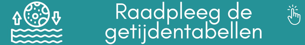 Horaires mar&eacute;es NL