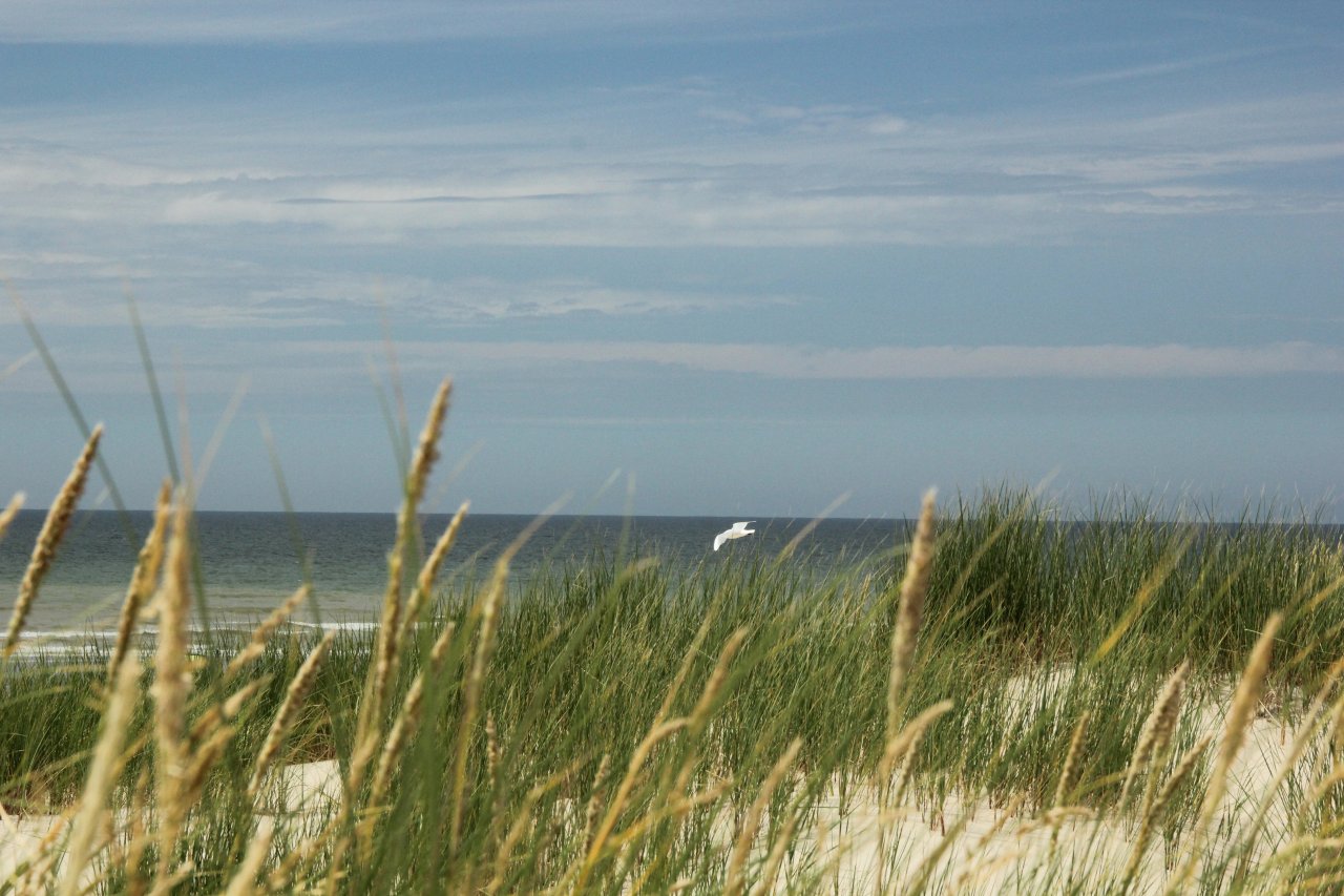 plage CO