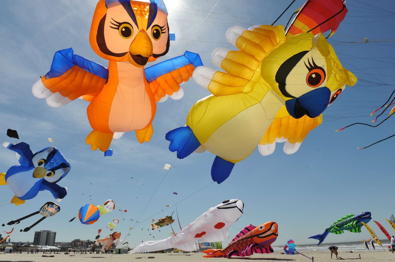 Faire du cerf-volant à Berck-sur-Mer - IMEARTH