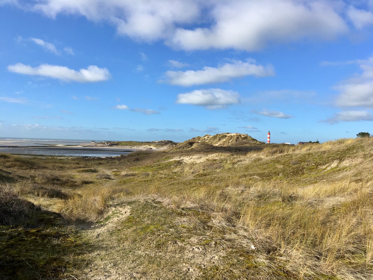 sentier