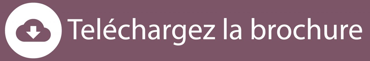 Téléchargez