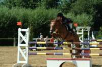 concours-sauts-obstacles.jpg