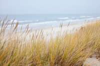 dunes-1936086-960-720.jpg