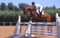 equitation-1.jpg