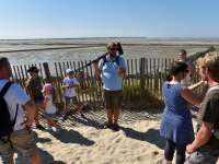 escapade-en-baie-d-authie.jpg