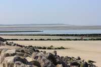 img-8919.jpg