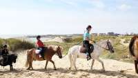 photo-poney.jpg