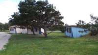 60e810d5157c9-images-large.jpeg