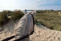 centre-equestre-de-berck-sur-mer.jpg
