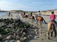 equitation-5.jpg