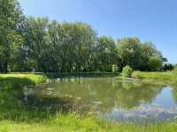 img-2300.jpg