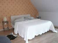 opaline-3.jpg
